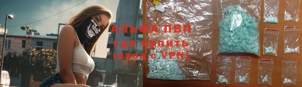 гидра Алексеевка
