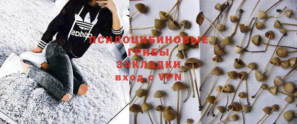 индика Абинск