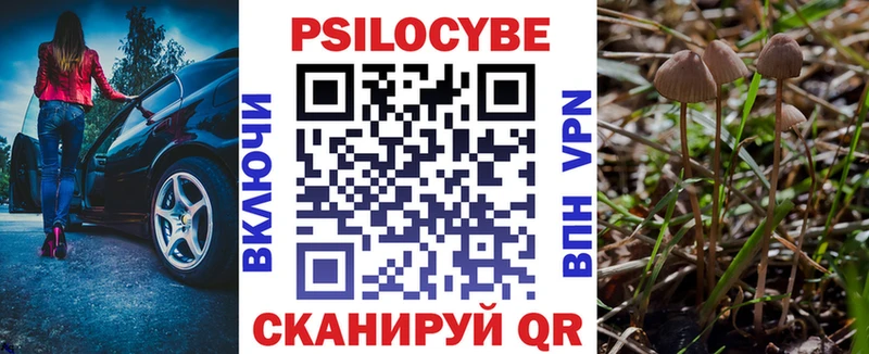 Галлюциногенные грибы Magic Shrooms  Кемерово 