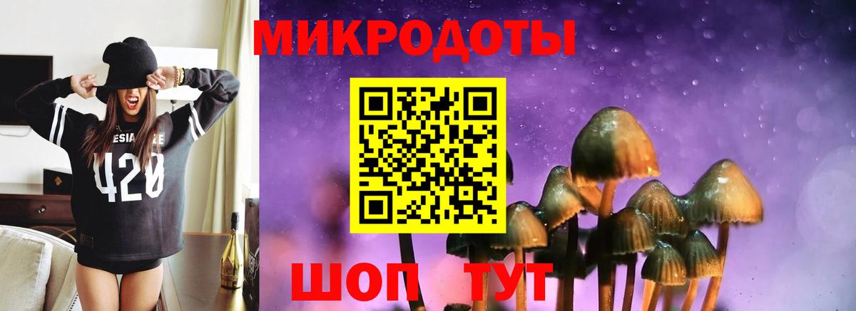 где продают наркотики  Галлюциногенные грибы GOLDEN TEACHER  Вход с VPN  Галлюциногенные грибы Magic Shrooms  Кемерово 